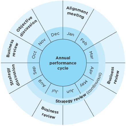 Annual performance cycle (graphic)
